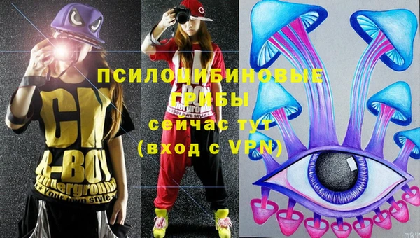 MDMA Каменка