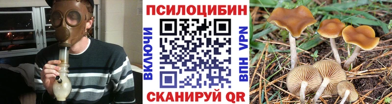 Псилоцибиновые грибы Magic Shrooms Верещагино